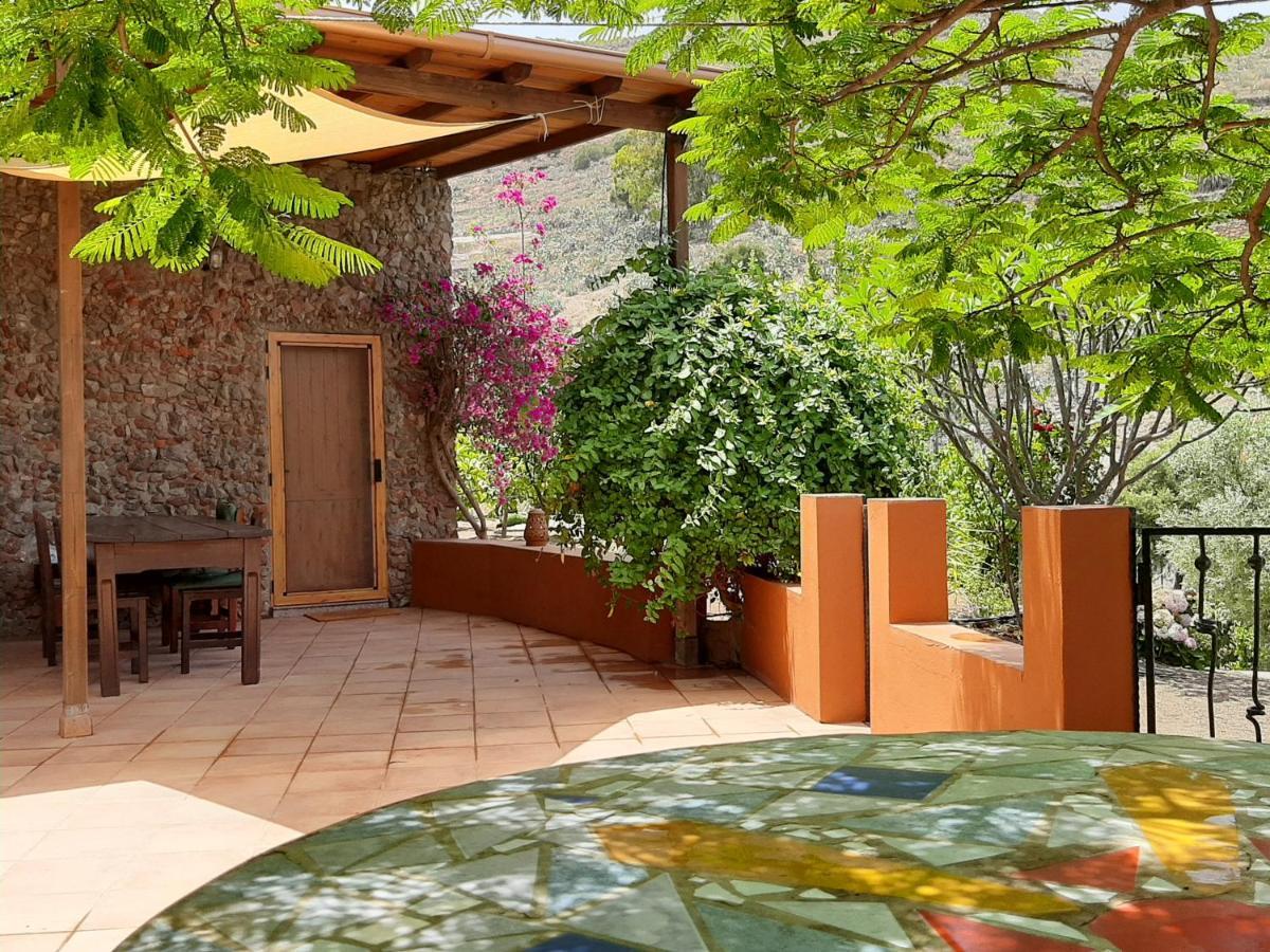 Peaceful House Set On A Vineyard & Work Friendly Villa Valsequillo de Gran Canaria Exteriör bild