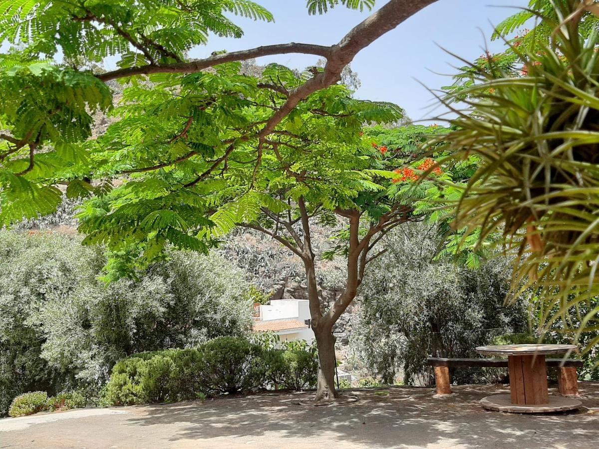 Peaceful House Set On A Vineyard & Work Friendly Villa Valsequillo de Gran Canaria Exteriör bild