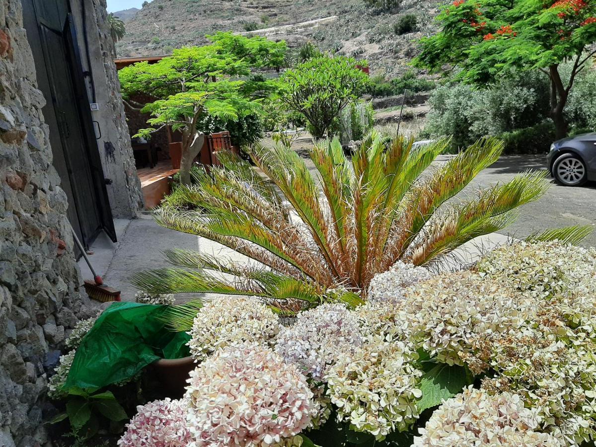 Peaceful House Set On A Vineyard & Work Friendly Villa Valsequillo de Gran Canaria Exteriör bild