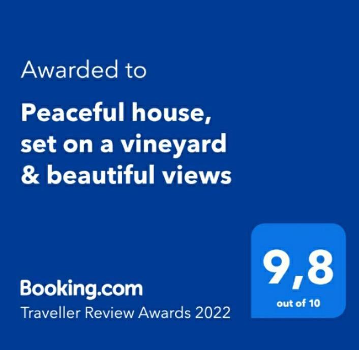 Peaceful House Set On A Vineyard & Work Friendly Villa Valsequillo de Gran Canaria Exteriör bild