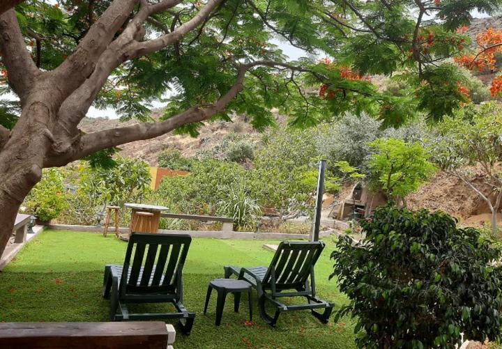 Peaceful House Set On A Vineyard & Work Friendly Villa Valsequillo de Gran Canaria Exteriör bild