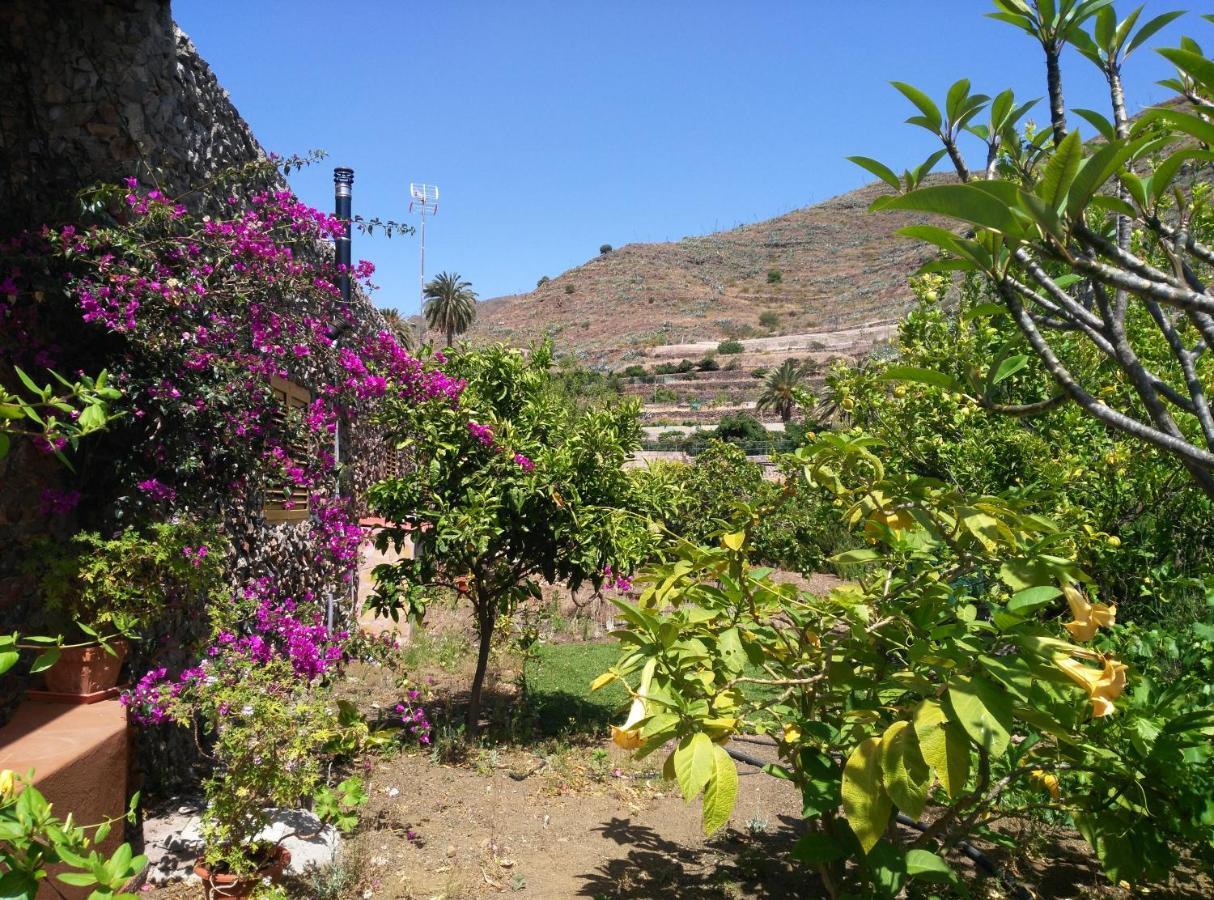 Peaceful House Set On A Vineyard & Work Friendly Villa Valsequillo de Gran Canaria Exteriör bild