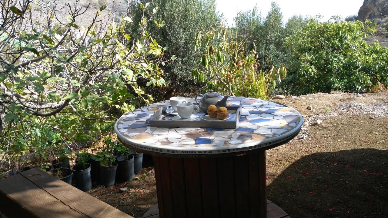 Peaceful House Set On A Vineyard & Work Friendly Villa Valsequillo de Gran Canaria Exteriör bild