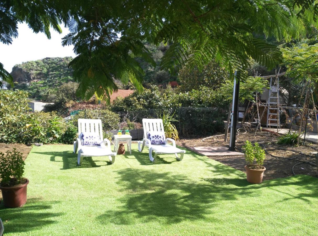 Peaceful House Set On A Vineyard & Work Friendly Villa Valsequillo de Gran Canaria Exteriör bild