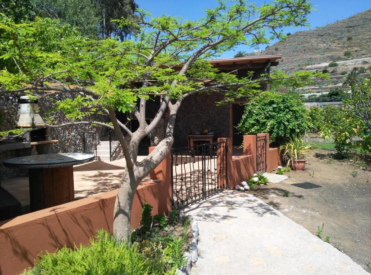 Peaceful House Set On A Vineyard & Work Friendly Villa Valsequillo de Gran Canaria Exteriör bild
