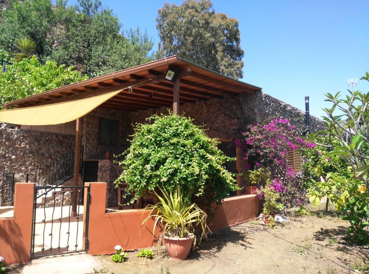 Peaceful House Set On A Vineyard & Work Friendly Villa Valsequillo de Gran Canaria Exteriör bild